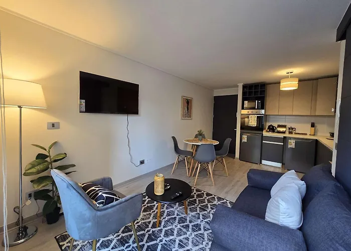 Hom I Nuevo Y Centrico 1D1B 2Pax Santiago