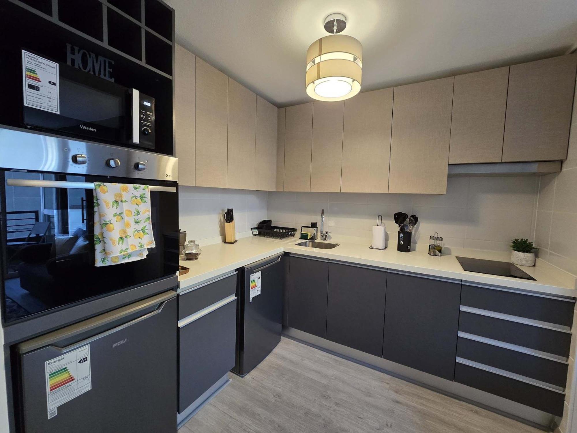 Apartamento Hom I Nuevo Y Centrico 1d1b 2pax Santiago